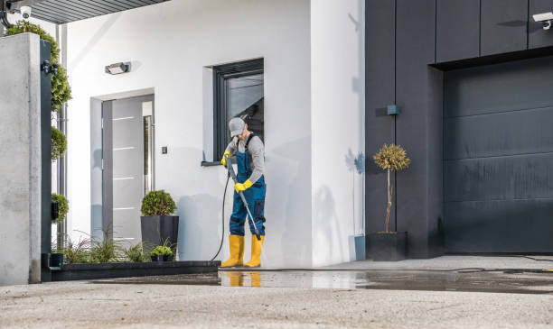 Best Roof Washing  in Raoul, GA